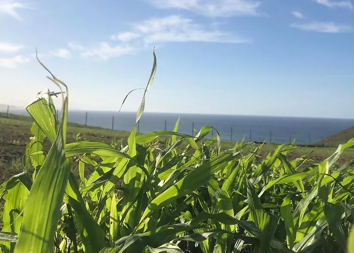 Casa De La Media Borona * Ubiarco